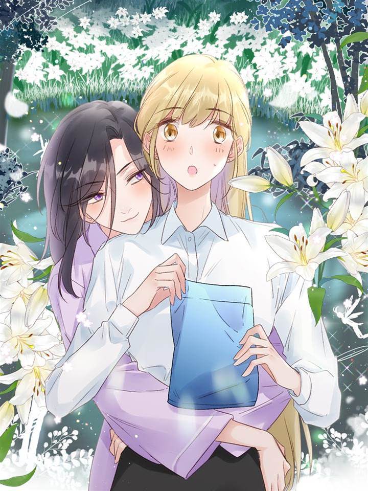 野百合与紫罗兰 野百合与紫罗兰